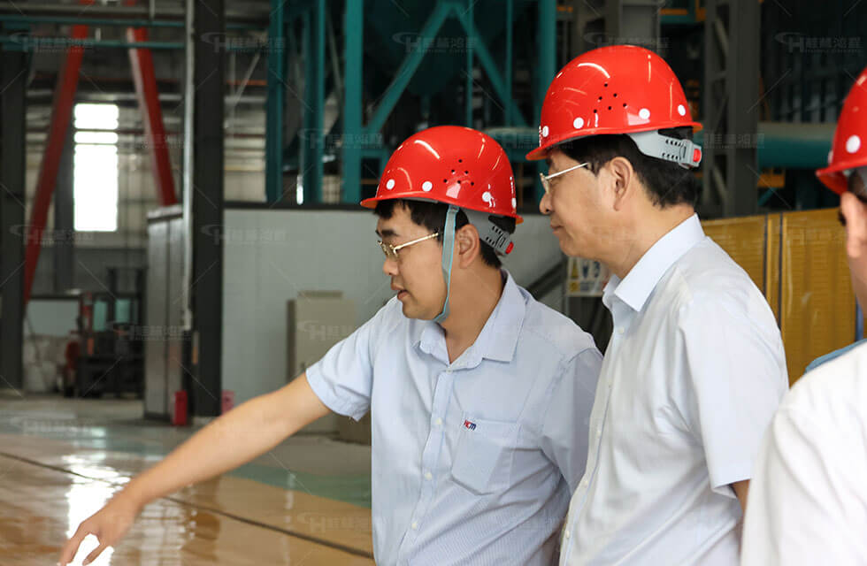 The Standing Committee visited Hongcheng for investigation