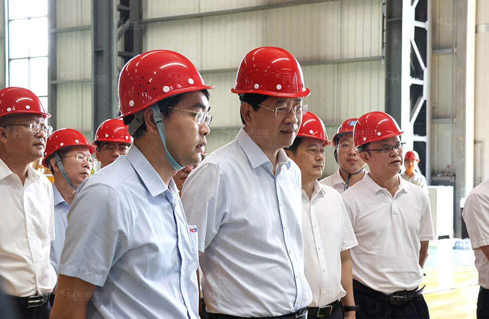 The Standing Committee visited Hongcheng for investigation